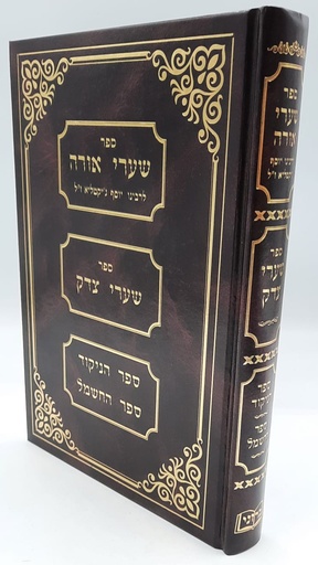 יוסף ג׳יקטיליא