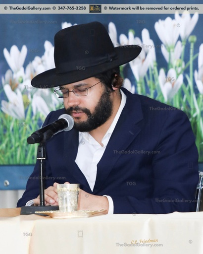 שלמה יהודה