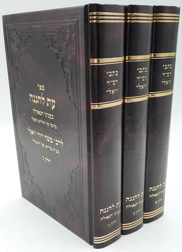 רבי משה דוד וואלי | תלמיד הרמח"ל