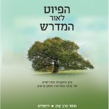 ד"ר יהושפט נבו