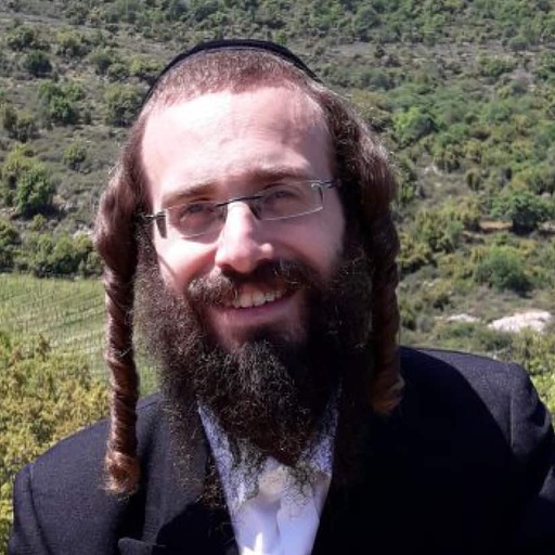 הרב דוד גבירצמן