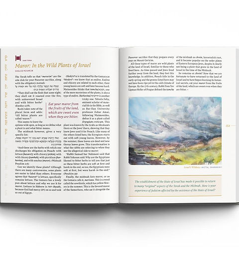 The Az Nashir Haggadah; On the Path to Redemption (Matan Edition) | Pesach Haggadah