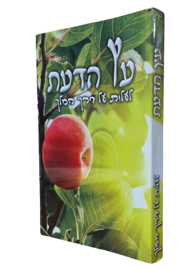 עץ הדעת: לעלות על דרך המלך | הרב שלום ארוש