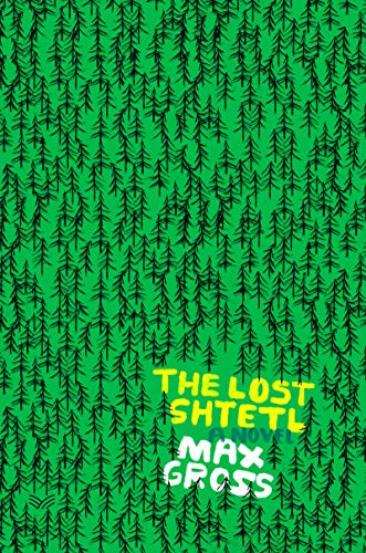 The Lost Shtetl: A Novel