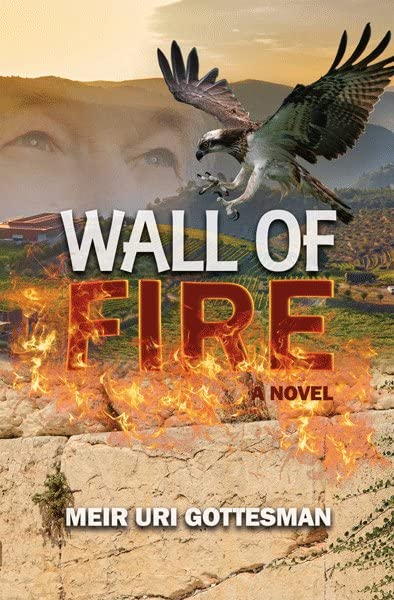Wall of Fire | A Novel 