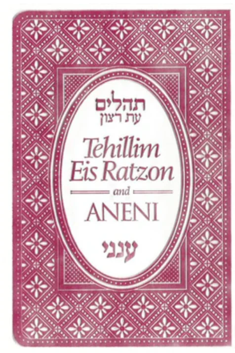 Tehilllim & Aneni | Raspberry | Flexible | Pocket