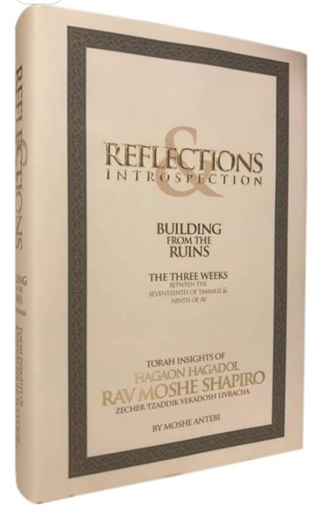 Building from Ruins - on the three weeks Reflections | Rabbi Moshe  Shapiro