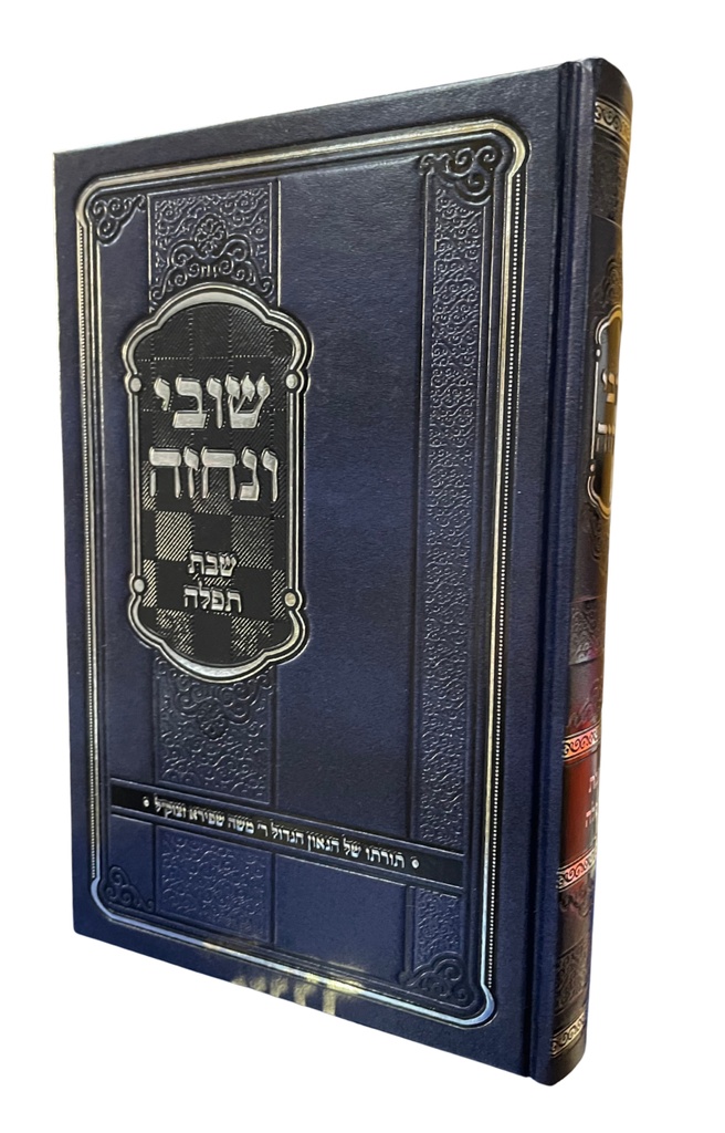 שבת ותפילה | שובי ונחזה | הרב משה שפירא