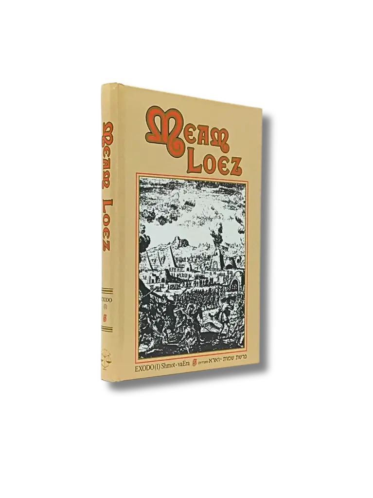 French Meam Loez - 5