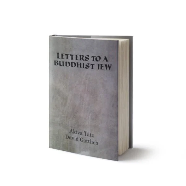 [9781568713564] Letters to a Buddhist Jew