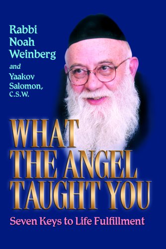 [9781578191345] What the Angel Taught you | Rabbi Noah Weinberg