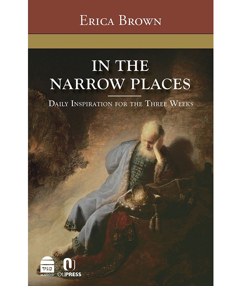 In the Narrow Places - Erica Brown
