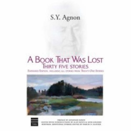 A Book That Was Lost: Thirty Five Stories | Hebrew Classics