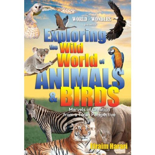Exploring the Wild World of Animals & Birds