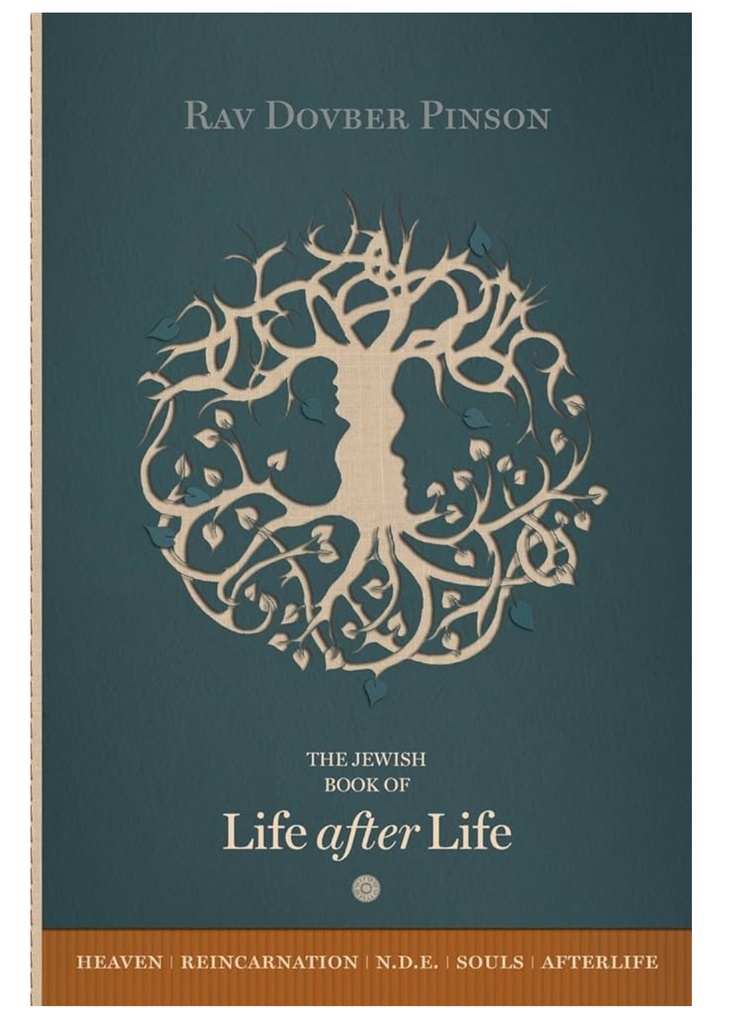 ‎The Book of Life After Life