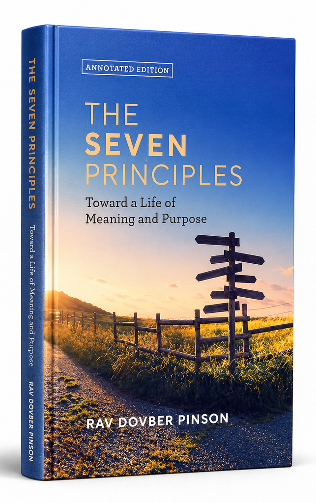 The Seven Principles: Annotated Edition | Rav Dovber Pinson
