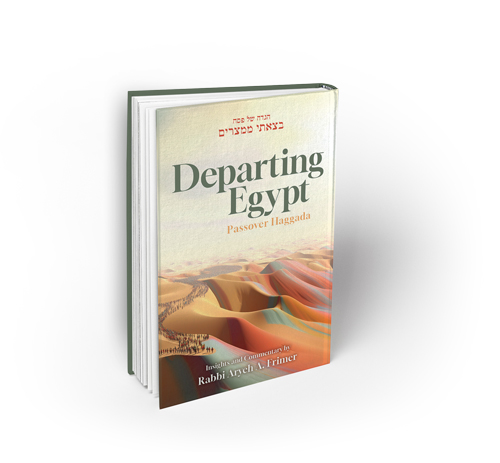 New! DEPARTING EGYPT PASSOVER HAGGADA 