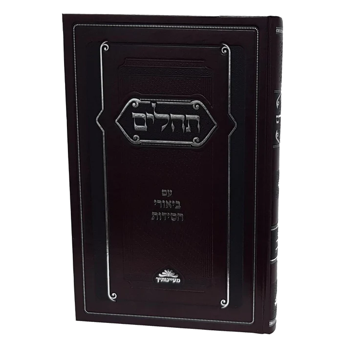 [10120525] תהלים עם ביאורי חסידות