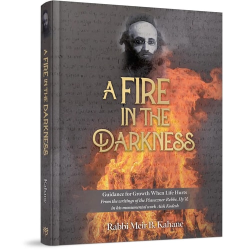 [9781614658689] A Fire in the Darkness | Teachings from the Aish Kodesh of the Piaseczner Rebbe