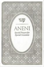 Aneni | Silver | Simcha | Flexible | Pocket
