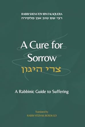 A Cure for Sorrow: A Rabbinic Guide to Suffering