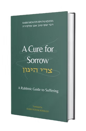 Coming Soon | A Cure for Sorrow: A Rabbinic Guide to Suffering