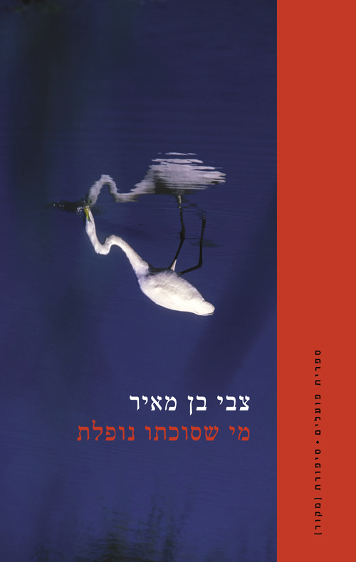 [003100072229] מי שסוכתו נופלת