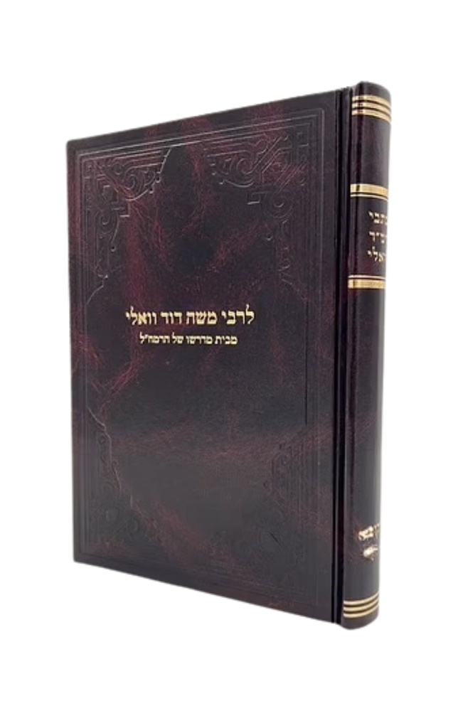 אור עולם | ביאור לספר תהלים | רביעאה | חלק רביעי | רמ"ד וואלי / רמח"ל