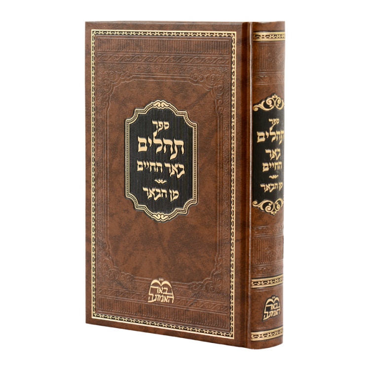 [711252] תהילים עם ביאור באר החיים | הרב בידרמן