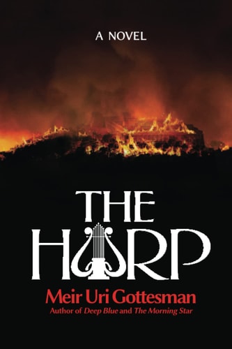 [9781680256130] The Harp | A Novel