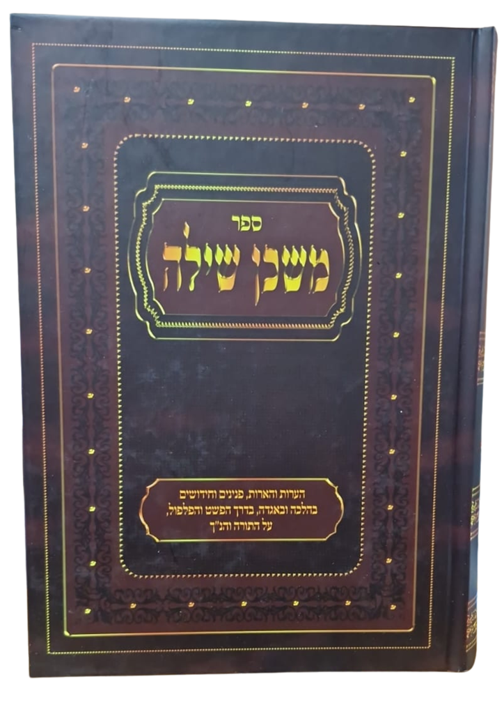 [202530111746] ספר משכן שילה 