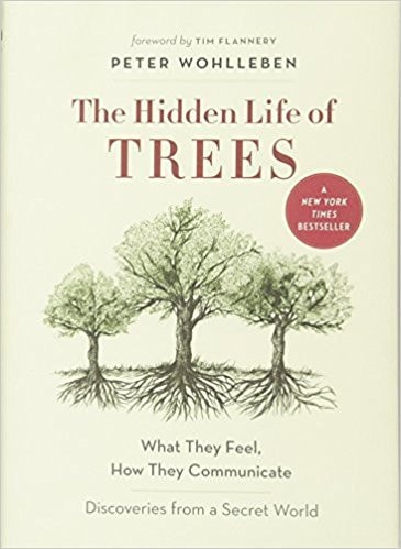 The Hidden Life of Trees - What They Feel, how They Communicate : Discoveries from a Secret World