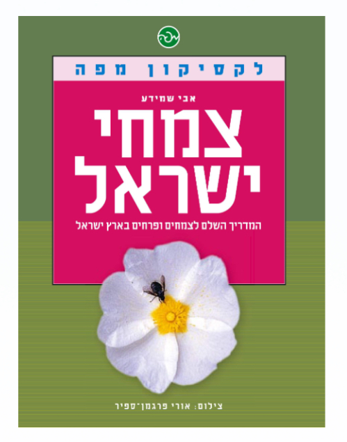 לקסיקון מפה: צמחי ישראל | המדריך השלם לצמחים ופרחים בארץ ישראל
