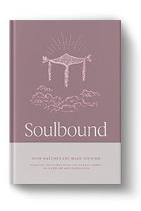 [9780826607652] Soulbound - How Matches are Made on High