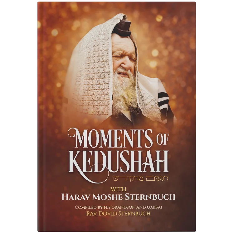 Moments of Kedushah - With Harav Moshe Sternbuch
