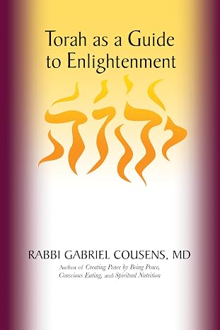 [9781947925458] Torah as a Guide to Enlightenment