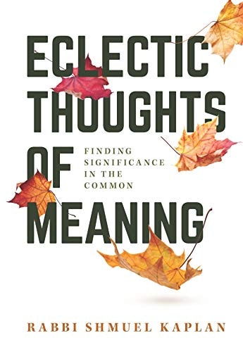 [97816028043577] ECLECTIC THOUGHTS OF MEANING - FINDING MEANING IN THE COMMON | Volume 2