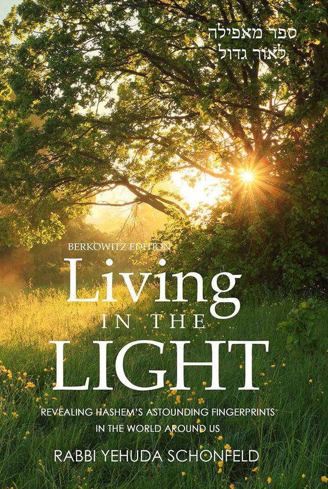 [9798985216868] Coming Soon | Living in the Light - Revealing Hashems Astounding Finger Prints in the World Around Us