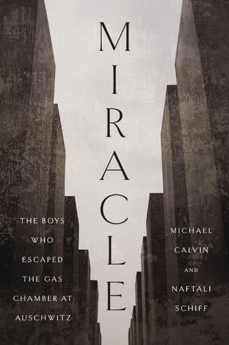 Miracle - The Boys Who Escaped the Gas Chamber at Auschwitz