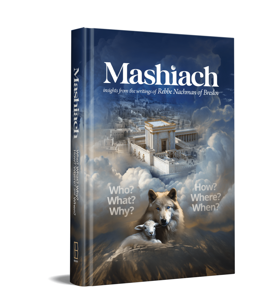[9780930213541] Mashiach: insights from the writings of Rebbe Nachman of Breslov