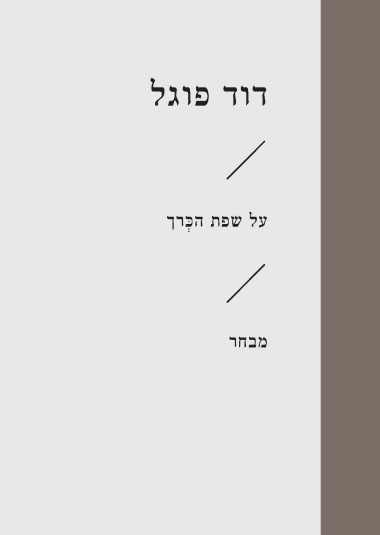 על שפת הכרך / דוד פוגל