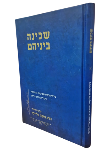 [138900000537] שכינה ביניהם - בירור מהותו של קשר....