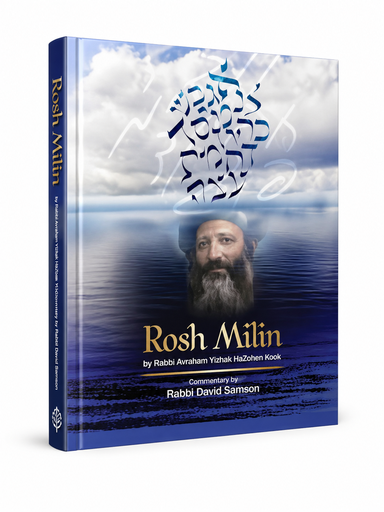 [752505386058] Rosh Milin: Kabbalistic Insights into the Hebrew Alphabet