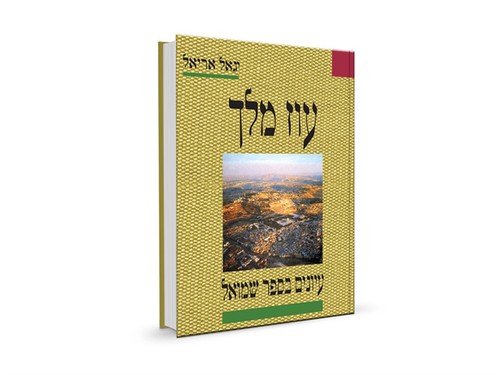 [032800001499] עוז מלך - פירוש על ספר שמואל