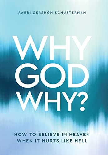 [9798888950722] WHY GOD WHY / SCHUSTERMAN