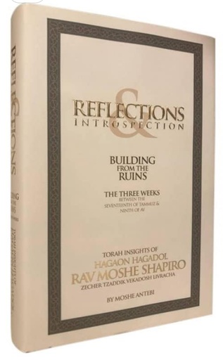 [4031] Building from Ruins - on the three weeks Reflections | Rabbi Moshe  Shapiro