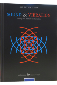 [4304] Sound & Vibrations | DovBer Pinson