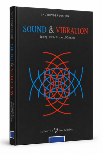 [9781733813006] Sound & Vibrations | DovBer Pinson