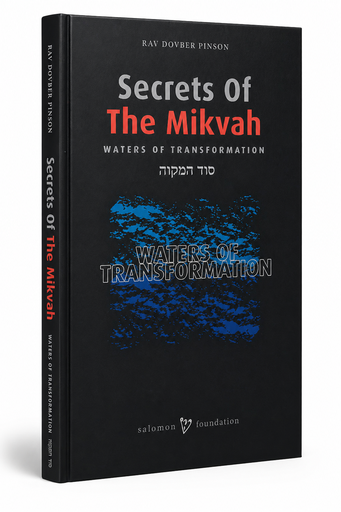 [9781733813013] Secrets of the Mikvah | Rav Dovber Pinson