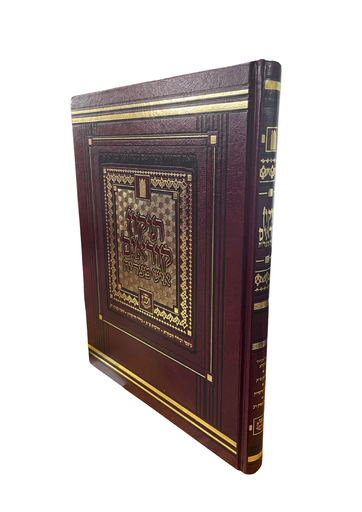 [7137637] תיקון קוראים - מהדורת איש מצליח | פורמט גדול